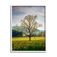 Studell Lone Tree Wildflower livada krajolika fotografija bijela uokvirena umjetnička print zidna umjetnost