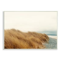 Stupell Desirts Visoka travnata vjetrovita oceanska scena Pebble Coast Beach, 10, dizajn Iana Winstanleyja