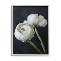 Stupell Industries Moderni Ranunculus cvjetni cvjetovi aranžman bijele latice Photo siva uokvirena umjetnička print zidna umjetnost,